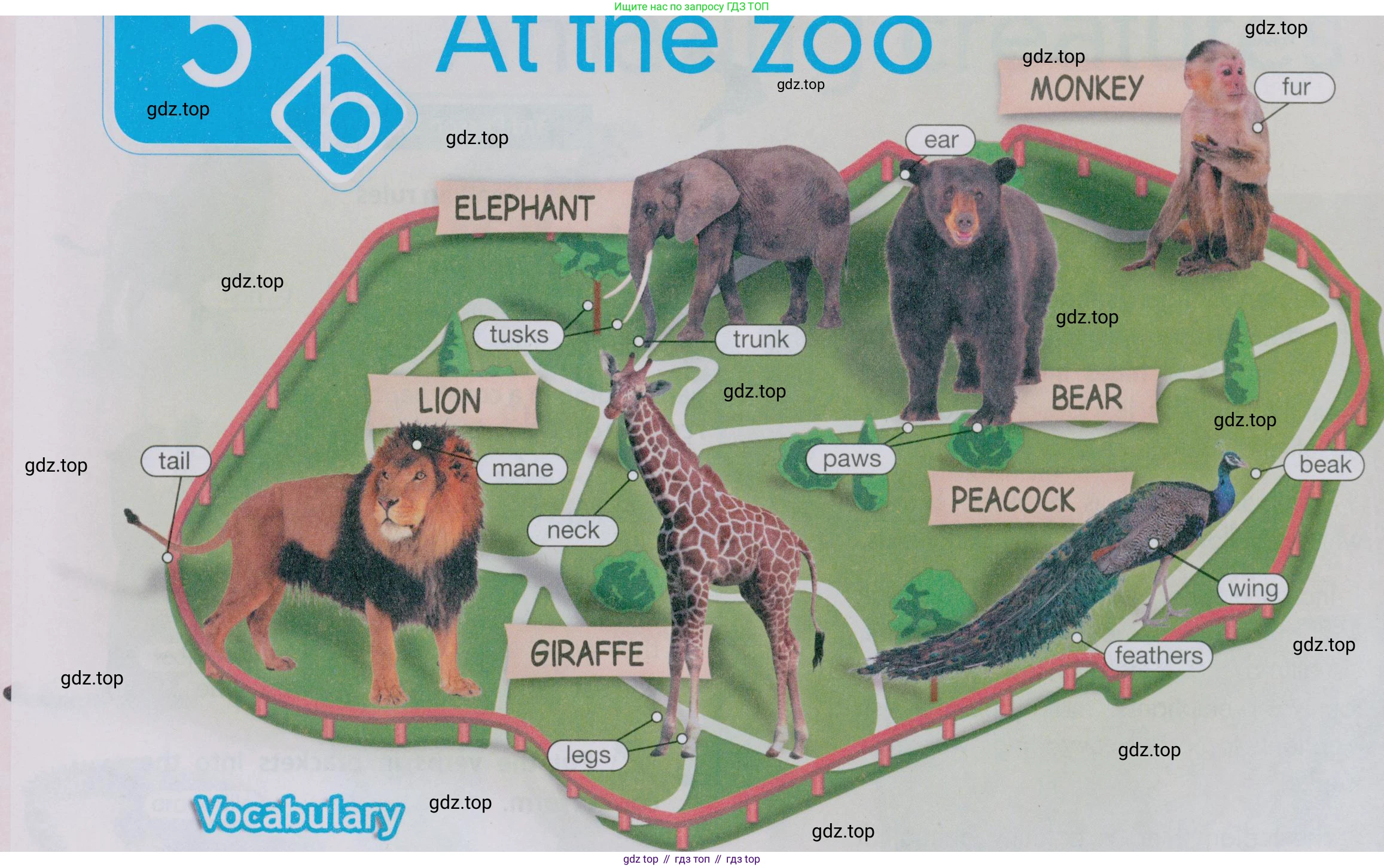 Английский язык (english), 5 класс Учебник (Student's book), авторы: Ваулина Юлия Евгеньевна (Vaulina Julia), Дули Дженни (Dooley Jenny), Подоляко Ольга Евгеньевна (Podolyako Olga), Эванс Вирджиния (Evans Virginia), издательство Просвещение, Москва, 2023, жёлтого цвета, страница 68, номер 1, Условие 2019-2022