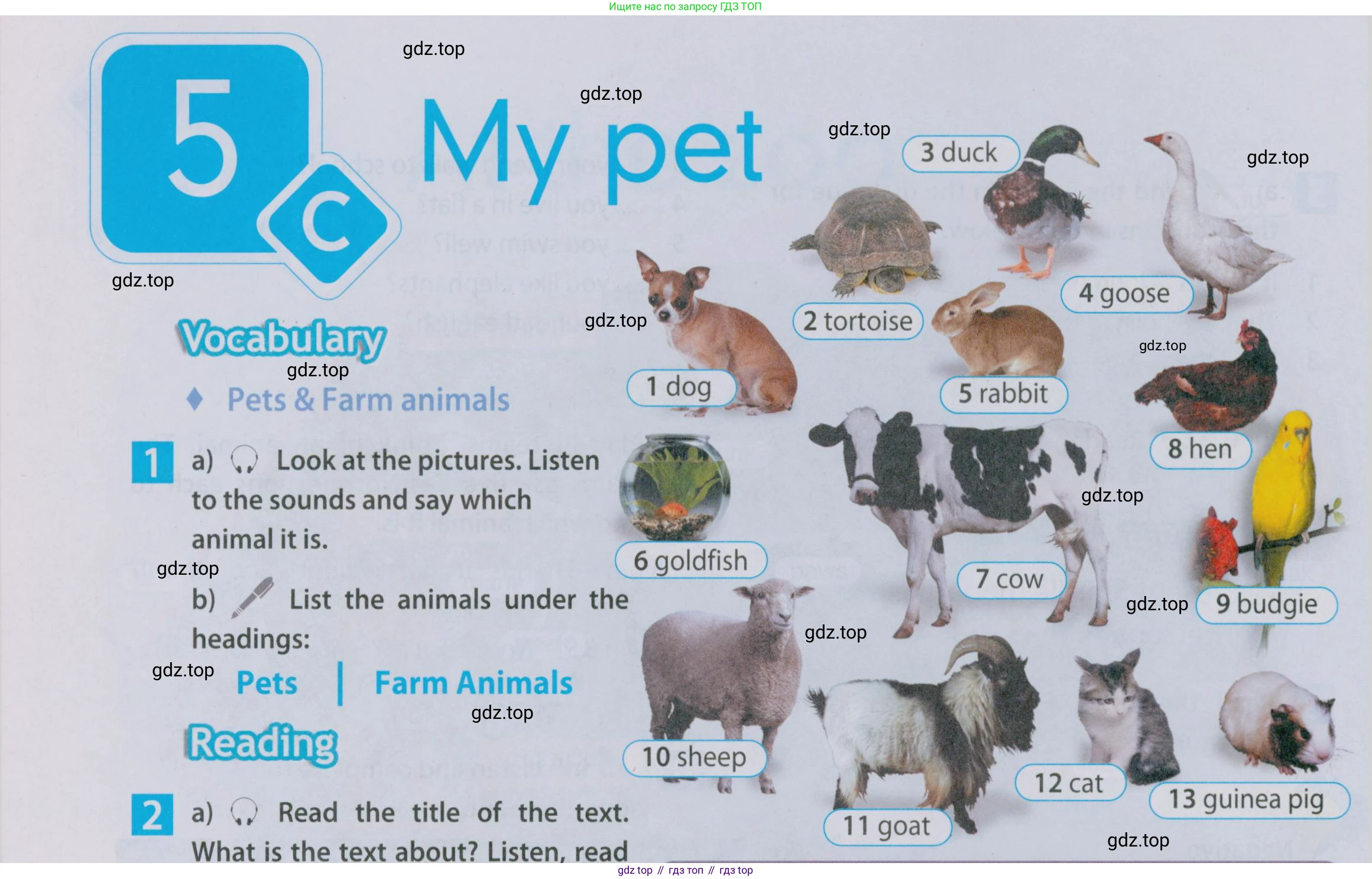 Английский язык (english), 5 класс Учебник (Student's book), авторы: Ваулина Юлия Евгеньевна (Vaulina Julia), Дули Дженни (Dooley Jenny), Подоляко Ольга Евгеньевна (Podolyako Olga), Эванс Вирджиния (Evans Virginia), издательство Просвещение, Москва, 2023, жёлтого цвета, страница 70, номер 1, Условие 2019-2022