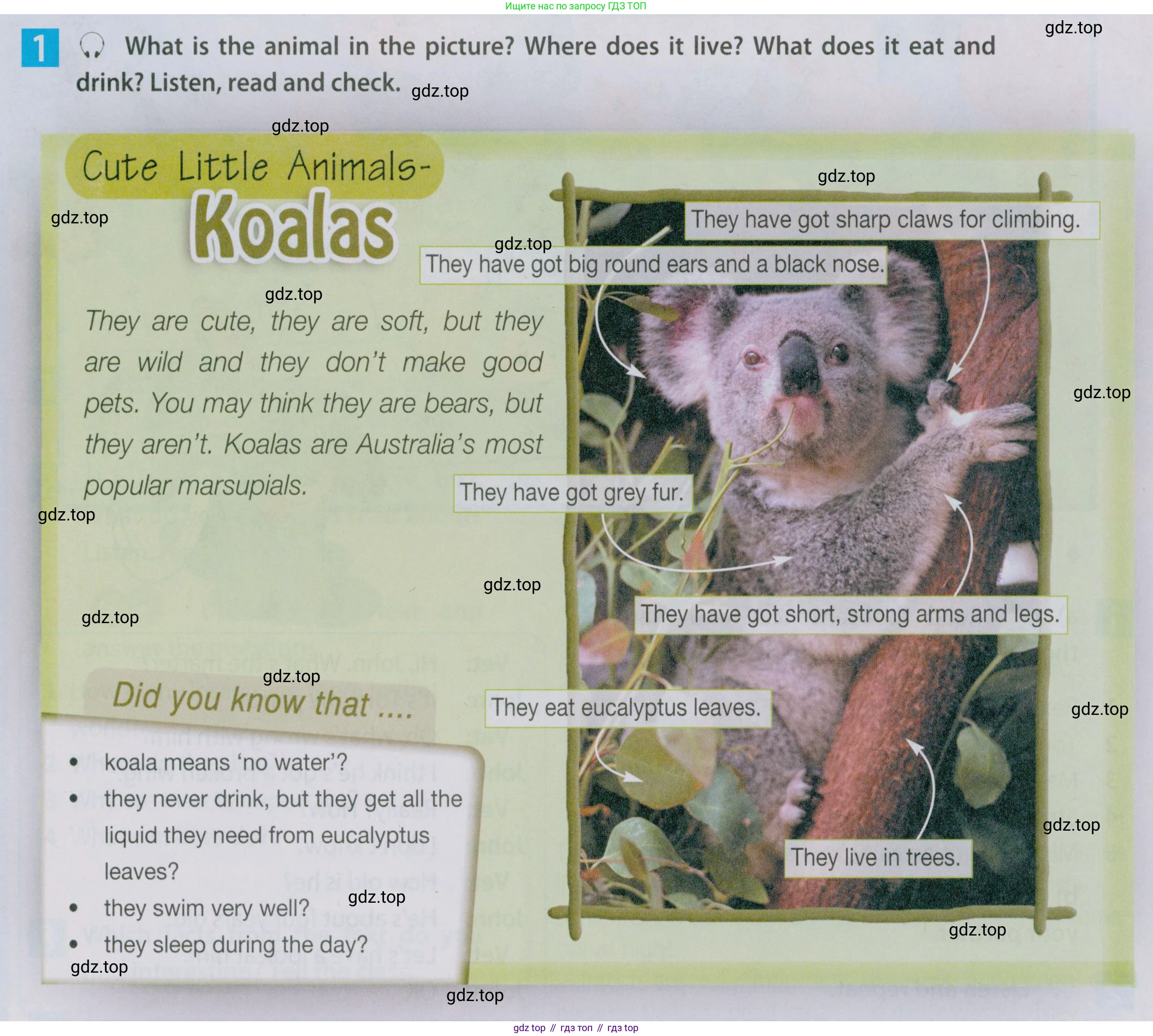 Английский язык (english), 5 класс Учебник (Student's book), авторы: Ваулина Юлия Евгеньевна (Vaulina Julia), Дули Дженни (Dooley Jenny), Подоляко Ольга Евгеньевна (Podolyako Olga), Эванс Вирджиния (Evans Virginia), издательство Просвещение, Москва, 2023, жёлтого цвета, страница 71, номер 1, Условие 2019-2022