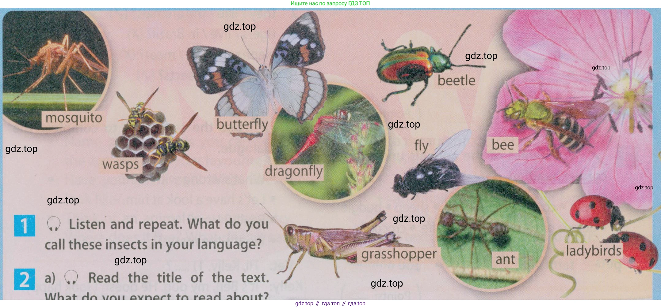 Английский язык (english), 5 класс Учебник (Student's book), авторы: Ваулина Юлия Евгеньевна (Vaulina Julia), Дули Дженни (Dooley Jenny), Подоляко Ольга Евгеньевна (Podolyako Olga), Эванс Вирджиния (Evans Virginia), издательство Просвещение, Москва, 2023, жёлтого цвета, страница 73, номер 1, Условие 2019-2022