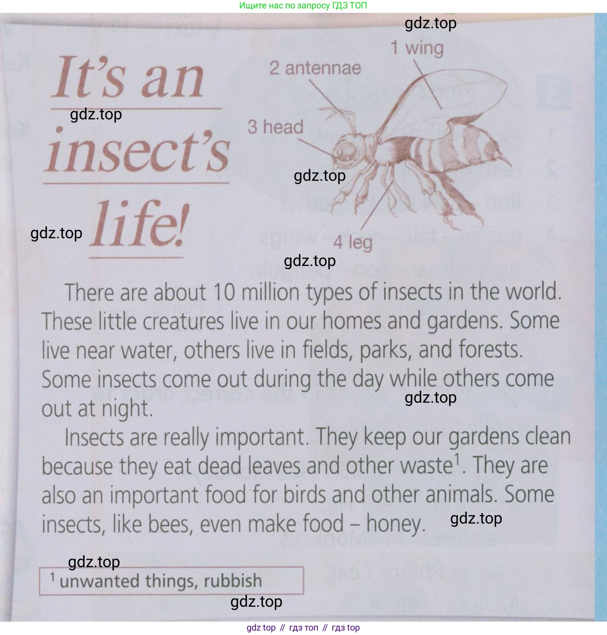 Английский язык (english), 5 класс Учебник (Student's book), авторы: Ваулина Юлия Евгеньевна (Vaulina Julia), Дули Дженни (Dooley Jenny), Подоляко Ольга Евгеньевна (Podolyako Olga), Эванс Вирджиния (Evans Virginia), издательство Просвещение, Москва, 2023, жёлтого цвета, страница 73, номер 1, Условие 2019-2022 (продолжение 2)