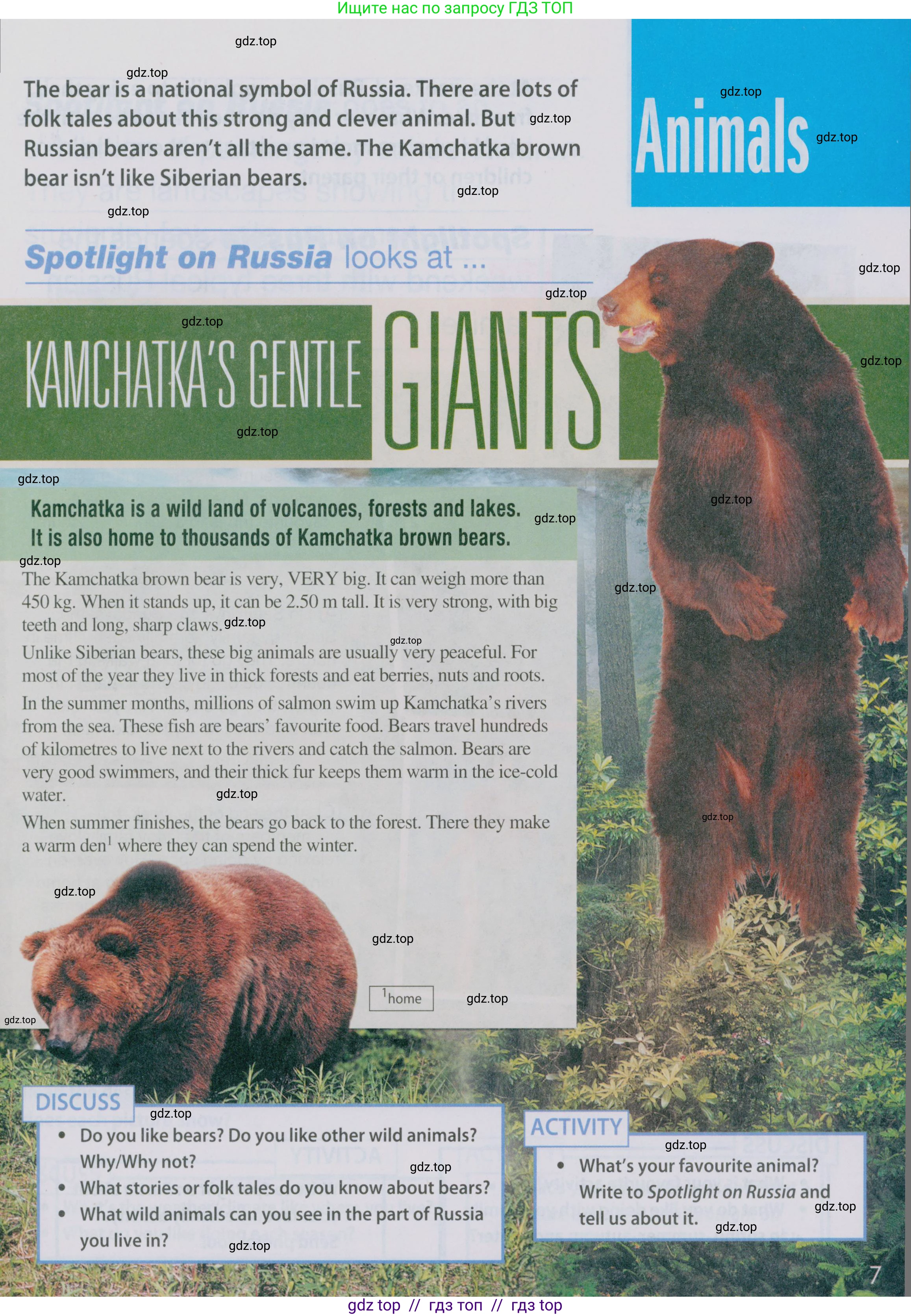 Английский язык (english), 5 класс Учебник (Student's book), авторы: Ваулина Юлия Евгеньевна (Vaulina Julia), Дули Дженни (Dooley Jenny), Подоляко Ольга Евгеньевна (Podolyako Olga), Эванс Вирджиния (Evans Virginia), издательство Просвещение, Москва, 2023, жёлтого цвета, страница 131, Условие 2019-2022