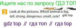 ГДЗ Английский язык (english), 5 класс Учебник (Student's book), авторы: Ваулина Юлия Евгеньевна (Vaulina Julia), Дули Дженни (Dooley Jenny), Подоляко Ольга Евгеньевна (Podolyako Olga), Эванс Вирджиния (Evans Virginia), издательство Просвещение, Москва, 2023, жёлтого цвета, страница 138, номер 2, Условие 2023-2027