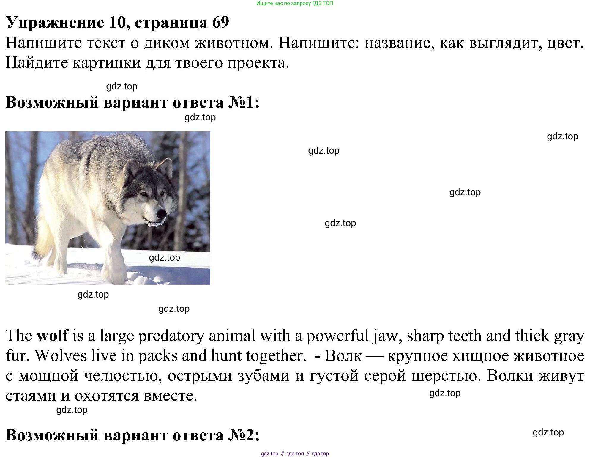 ГДЗ Английский язык (english), 5 класс Учебник (Student's book), авторы: Ваулина Юлия Евгеньевна (Vaulina Julia), Дули Дженни (Dooley Jenny), Подоляко Ольга Евгеньевна (Podolyako Olga), Эванс Вирджиния (Evans Virginia), издательство Просвещение, Москва, 2023, жёлтого цвета, страница 69, номер 10, Решение 1 (2023-2027)