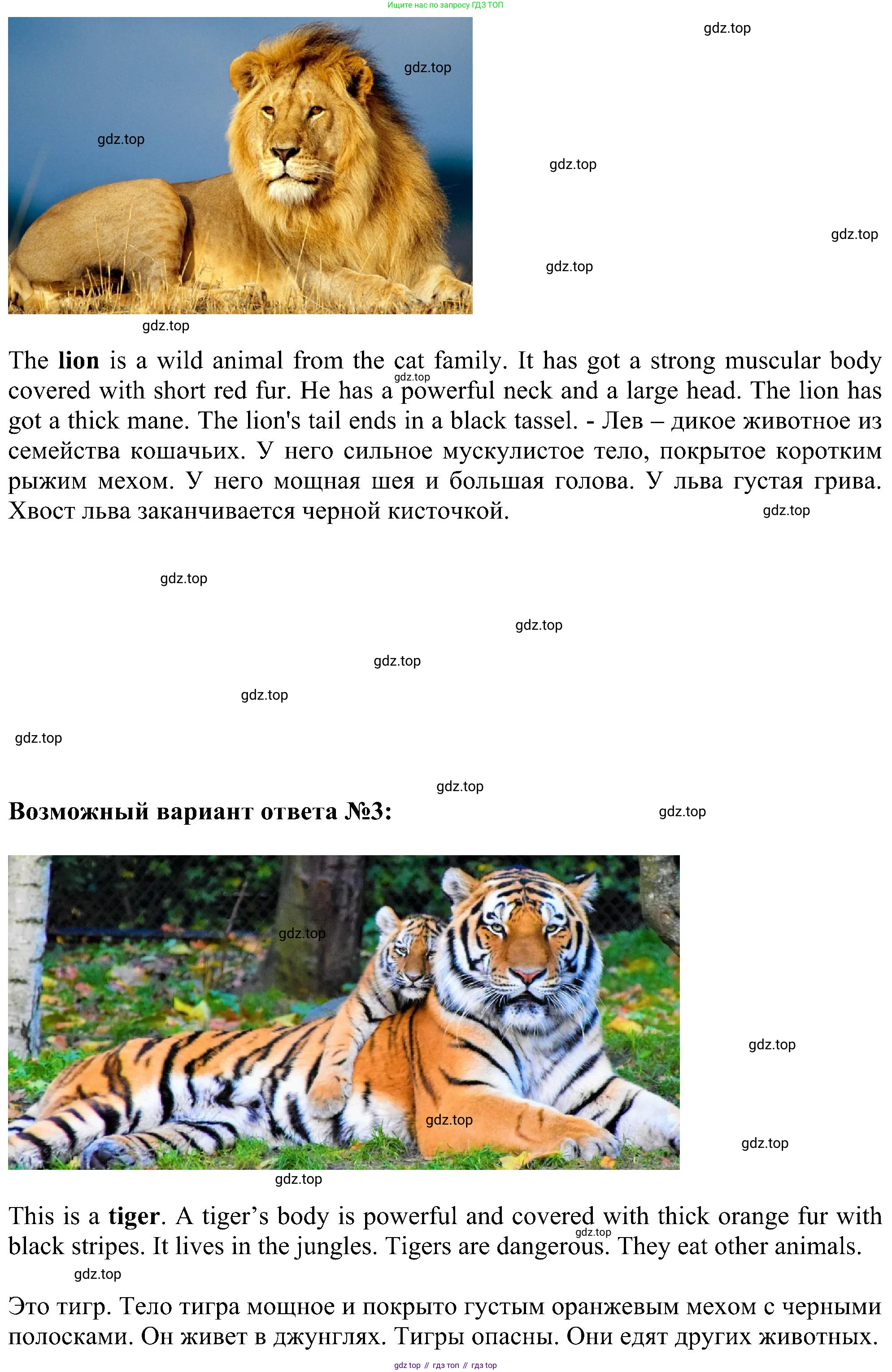 ГДЗ Английский язык (english), 5 класс Учебник (Student's book), авторы: Ваулина Юлия Евгеньевна (Vaulina Julia), Дули Дженни (Dooley Jenny), Подоляко Ольга Евгеньевна (Podolyako Olga), Эванс Вирджиния (Evans Virginia), издательство Просвещение, Москва, 2023, жёлтого цвета, страница 69, номер 10, Решение 1 (2023-2027) (продолжение 2)