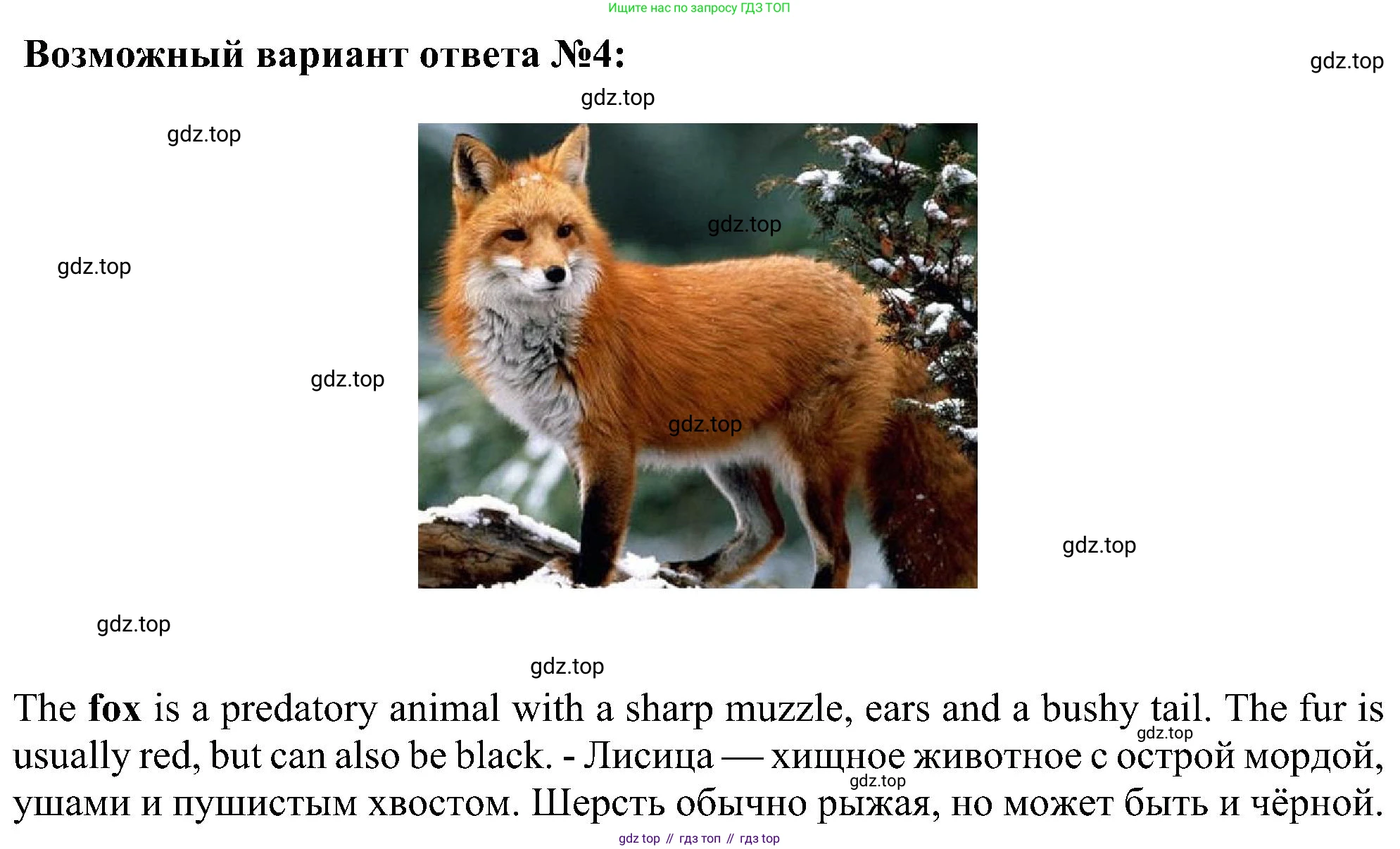 ГДЗ Английский язык (english), 5 класс Учебник (Student's book), авторы: Ваулина Юлия Евгеньевна (Vaulina Julia), Дули Дженни (Dooley Jenny), Подоляко Ольга Евгеньевна (Podolyako Olga), Эванс Вирджиния (Evans Virginia), издательство Просвещение, Москва, 2023, жёлтого цвета, страница 69, номер 10, Решение 1 (2023-2027) (продолжение 3)