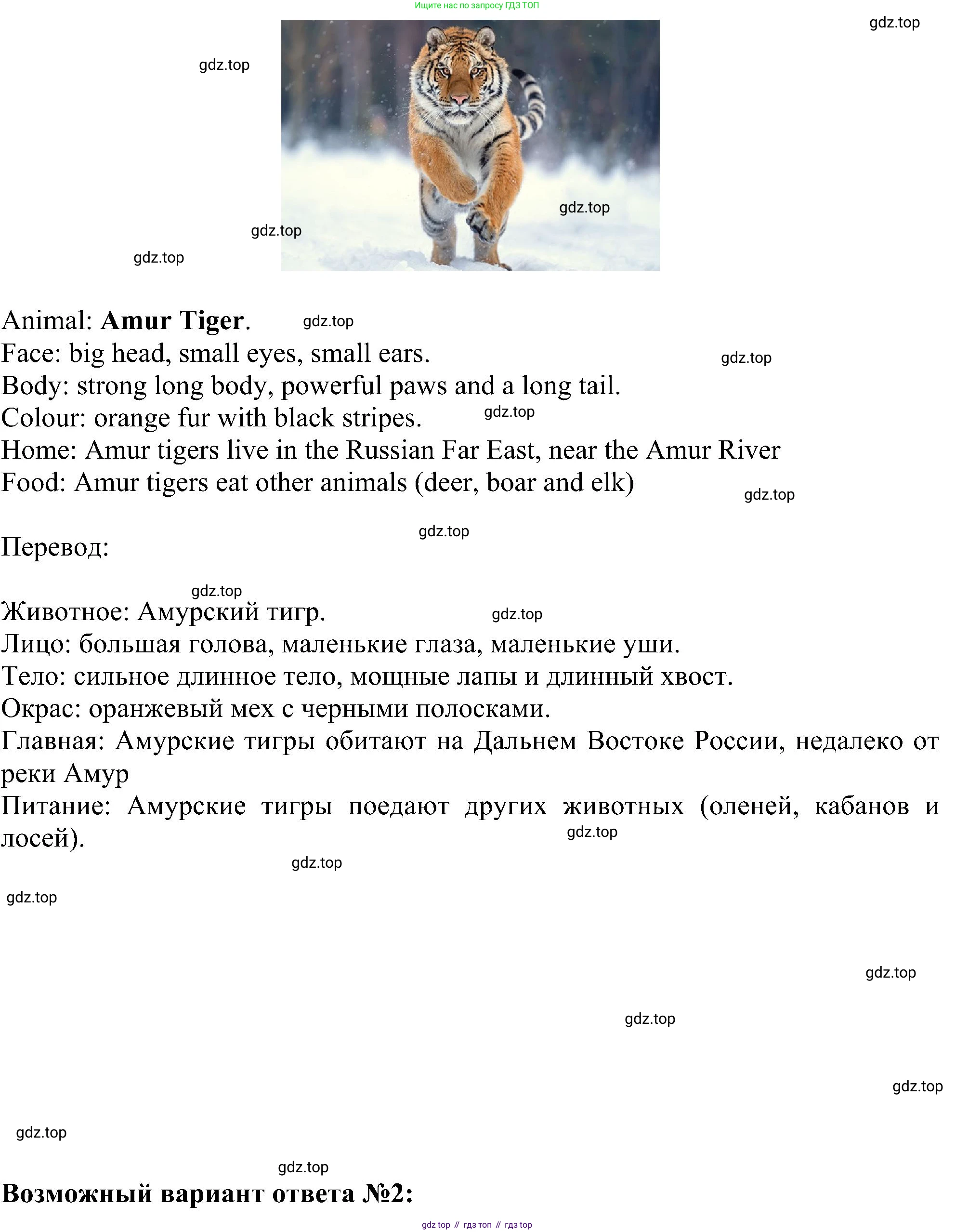 ГДЗ Английский язык (english), 5 класс Учебник (Student's book), авторы: Ваулина Юлия Евгеньевна (Vaulina Julia), Дули Дженни (Dooley Jenny), Подоляко Ольга Евгеньевна (Podolyako Olga), Эванс Вирджиния (Evans Virginia), издательство Просвещение, Москва, 2023, жёлтого цвета, страница 71, номер 4, Решение 1 (2023-2027) (продолжение 2)