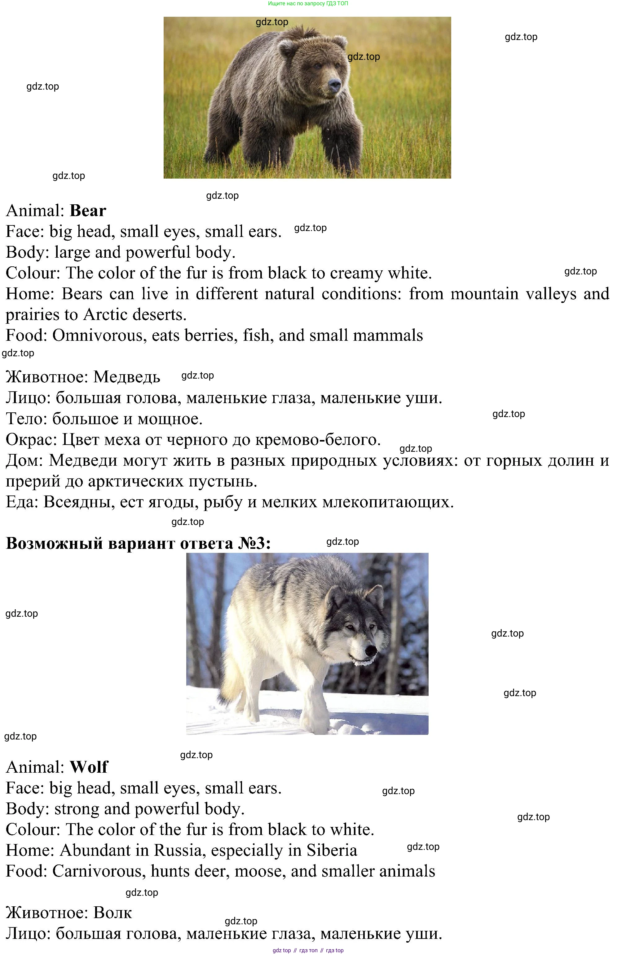 ГДЗ Английский язык (english), 5 класс Учебник (Student's book), авторы: Ваулина Юлия Евгеньевна (Vaulina Julia), Дули Дженни (Dooley Jenny), Подоляко Ольга Евгеньевна (Podolyako Olga), Эванс Вирджиния (Evans Virginia), издательство Просвещение, Москва, 2023, жёлтого цвета, страница 71, номер 4, Решение 1 (2023-2027) (продолжение 3)