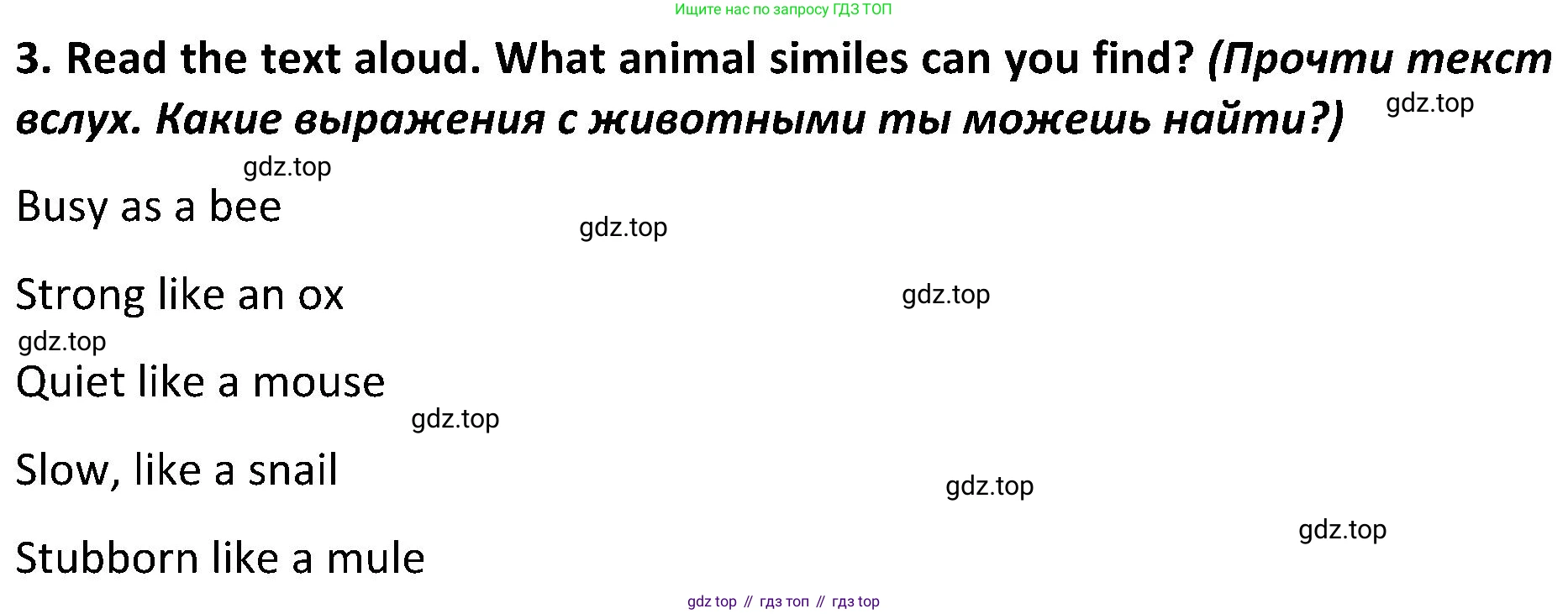 ГДЗ Английский язык (english), 5 класс Учебник (Student's book), авторы: Ваулина Юлия Евгеньевна (Vaulina Julia), Дули Дженни (Dooley Jenny), Подоляко Ольга Евгеньевна (Podolyako Olga), Эванс Вирджиния (Evans Virginia), издательство Просвещение, Москва, 2023, жёлтого цвета, страница 63, номер 3, Решение 2 (2023-2027)