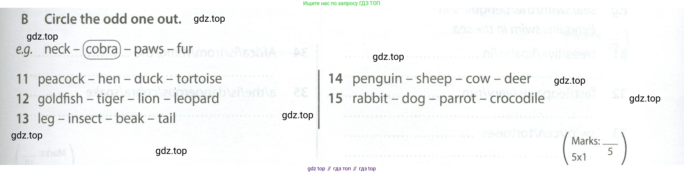 Английский язык (english), 5 класс контрольные задания (test booklet), авторы: Ваулина Юлия Евгеньевна (Vaulina Julia), Дули Дженни (Dooley Jenny), Подоляко Ольга Евгеньевна (Podolyako Olga), Эванс Вирджиния (Evans Virginia), издательство Просвещение, Москва, 2023, белого цвета, страница 41, номер B, Условие 2023-2027