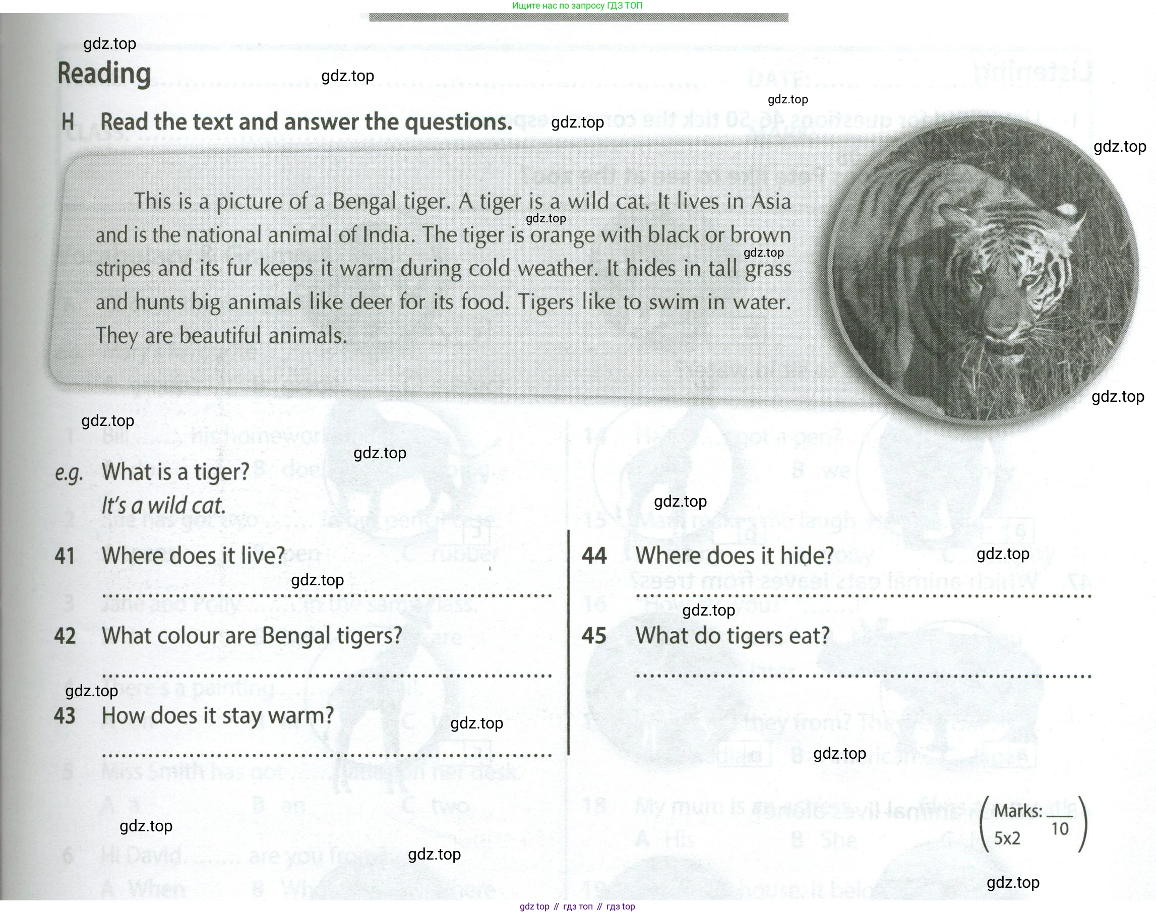 Английский язык (english), 5 класс контрольные задания (test booklet), авторы: Ваулина Юлия Евгеньевна (Vaulina Julia), Дули Дженни (Dooley Jenny), Подоляко Ольга Евгеньевна (Podolyako Olga), Эванс Вирджиния (Evans Virginia), издательство Просвещение, Москва, 2023, белого цвета, страница 43, номер H, Условие 2023-2027