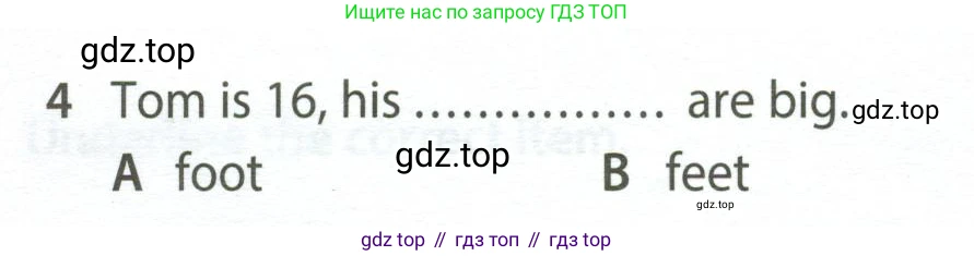 Английский язык (english), 5 класс контрольные задания (test booklet), авторы: Ваулина Юлия Евгеньевна (Vaulina Julia), Дули Дженни (Dooley Jenny), Подоляко Ольга Евгеньевна (Podolyako Olga), Эванс Вирджиния (Evans Virginia), издательство Просвещение, Москва, 2023, белого цвета, страница 96, номер 4, Условие 2023-2027
