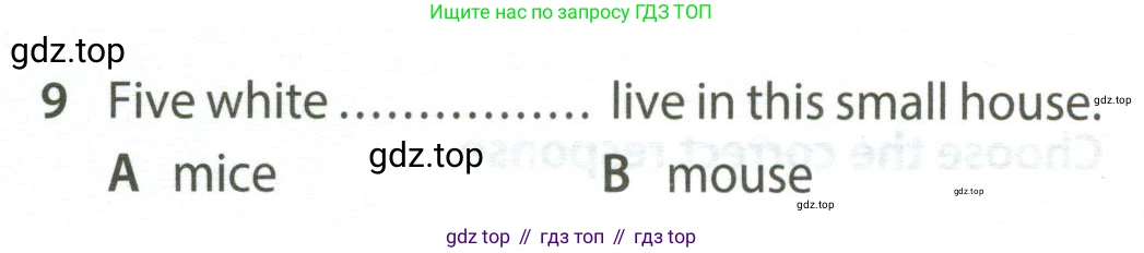 Английский язык (english), 5 класс контрольные задания (test booklet), авторы: Ваулина Юлия Евгеньевна (Vaulina Julia), Дули Дженни (Dooley Jenny), Подоляко Ольга Евгеньевна (Podolyako Olga), Эванс Вирджиния (Evans Virginia), издательство Просвещение, Москва, 2023, белого цвета, страница 96, номер 9, Условие 2023-2027