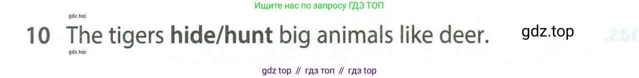 Английский язык (english), 5 класс контрольные задания (test booklet), авторы: Ваулина Юлия Евгеньевна (Vaulina Julia), Дули Дженни (Dooley Jenny), Подоляко Ольга Евгеньевна (Podolyako Olga), Эванс Вирджиния (Evans Virginia), издательство Просвещение, Москва, 2023, белого цвета, страница 104, номер 10, Условие 2023-2027