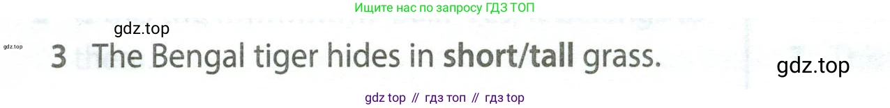 Английский язык (english), 5 класс контрольные задания (test booklet), авторы: Ваулина Юлия Евгеньевна (Vaulina Julia), Дули Дженни (Dooley Jenny), Подоляко Ольга Евгеньевна (Podolyako Olga), Эванс Вирджиния (Evans Virginia), издательство Просвещение, Москва, 2023, белого цвета, страница 104, номер 3, Условие 2023-2027