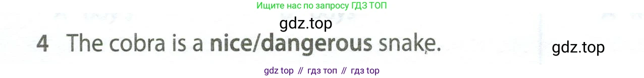 Английский язык (english), 5 класс контрольные задания (test booklet), авторы: Ваулина Юлия Евгеньевна (Vaulina Julia), Дули Дженни (Dooley Jenny), Подоляко Ольга Евгеньевна (Podolyako Olga), Эванс Вирджиния (Evans Virginia), издательство Просвещение, Москва, 2023, белого цвета, страница 104, номер 4, Условие 2023-2027