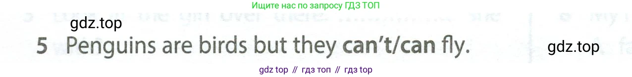Английский язык (english), 5 класс контрольные задания (test booklet), авторы: Ваулина Юлия Евгеньевна (Vaulina Julia), Дули Дженни (Dooley Jenny), Подоляко Ольга Евгеньевна (Podolyako Olga), Эванс Вирджиния (Evans Virginia), издательство Просвещение, Москва, 2023, белого цвета, страница 104, номер 5, Условие 2023-2027