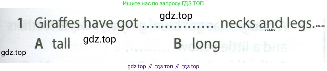 Английский язык (english), 5 класс контрольные задания (test booklet), авторы: Ваулина Юлия Евгеньевна (Vaulina Julia), Дули Дженни (Dooley Jenny), Подоляко Ольга Евгеньевна (Podolyako Olga), Эванс Вирджиния (Evans Virginia), издательство Просвещение, Москва, 2023, белого цвета, страница 105, номер 1, Условие 2023-2027