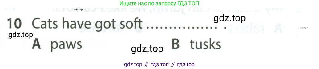 Английский язык (english), 5 класс контрольные задания (test booklet), авторы: Ваулина Юлия Евгеньевна (Vaulina Julia), Дули Дженни (Dooley Jenny), Подоляко Ольга Евгеньевна (Podolyako Olga), Эванс Вирджиния (Evans Virginia), издательство Просвещение, Москва, 2023, белого цвета, страница 105, номер 10, Условие 2023-2027
