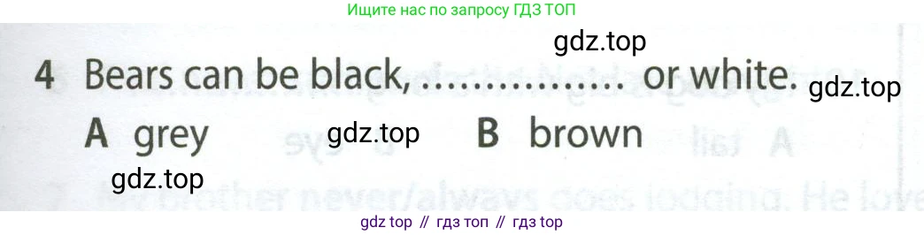 Английский язык (english), 5 класс контрольные задания (test booklet), авторы: Ваулина Юлия Евгеньевна (Vaulina Julia), Дули Дженни (Dooley Jenny), Подоляко Ольга Евгеньевна (Podolyako Olga), Эванс Вирджиния (Evans Virginia), издательство Просвещение, Москва, 2023, белого цвета, страница 105, номер 4, Условие 2023-2027