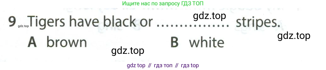 Английский язык (english), 5 класс контрольные задания (test booklet), авторы: Ваулина Юлия Евгеньевна (Vaulina Julia), Дули Дженни (Dooley Jenny), Подоляко Ольга Евгеньевна (Podolyako Olga), Эванс Вирджиния (Evans Virginia), издательство Просвещение, Москва, 2023, белого цвета, страница 105, номер 9, Условие 2023-2027