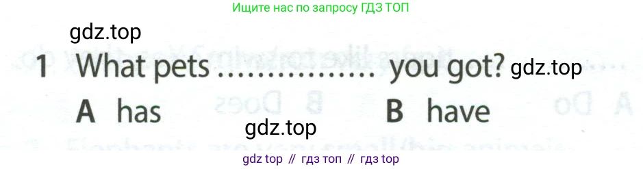 Английский язык (english), 5 класс контрольные задания (test booklet), авторы: Ваулина Юлия Евгеньевна (Vaulina Julia), Дули Дженни (Dooley Jenny), Подоляко Ольга Евгеньевна (Podolyako Olga), Эванс Вирджиния (Evans Virginia), издательство Просвещение, Москва, 2023, белого цвета, страница 106, номер 1, Условие 2023-2027