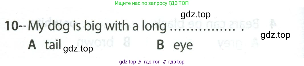 Английский язык (english), 5 класс контрольные задания (test booklet), авторы: Ваулина Юлия Евгеньевна (Vaulina Julia), Дули Дженни (Dooley Jenny), Подоляко Ольга Евгеньевна (Podolyako Olga), Эванс Вирджиния (Evans Virginia), издательство Просвещение, Москва, 2023, белого цвета, страница 106, номер 10, Условие 2023-2027