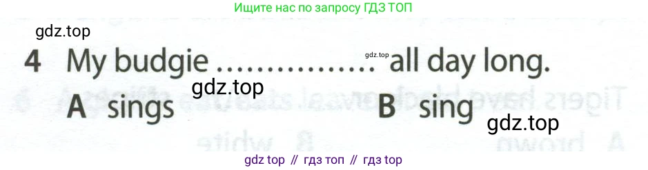 Английский язык (english), 5 класс контрольные задания (test booklet), авторы: Ваулина Юлия Евгеньевна (Vaulina Julia), Дули Дженни (Dooley Jenny), Подоляко Ольга Евгеньевна (Podolyako Olga), Эванс Вирджиния (Evans Virginia), издательство Просвещение, Москва, 2023, белого цвета, страница 106, номер 4, Условие 2023-2027