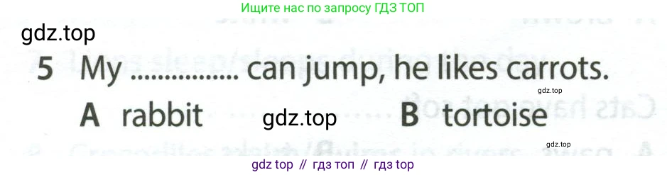 Английский язык (english), 5 класс контрольные задания (test booklet), авторы: Ваулина Юлия Евгеньевна (Vaulina Julia), Дули Дженни (Dooley Jenny), Подоляко Ольга Евгеньевна (Podolyako Olga), Эванс Вирджиния (Evans Virginia), издательство Просвещение, Москва, 2023, белого цвета, страница 106, номер 5, Условие 2023-2027