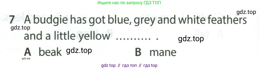 Английский язык (english), 5 класс контрольные задания (test booklet), авторы: Ваулина Юлия Евгеньевна (Vaulina Julia), Дули Дженни (Dooley Jenny), Подоляко Ольга Евгеньевна (Podolyako Olga), Эванс Вирджиния (Evans Virginia), издательство Просвещение, Москва, 2023, белого цвета, страница 106, номер 7, Условие 2023-2027