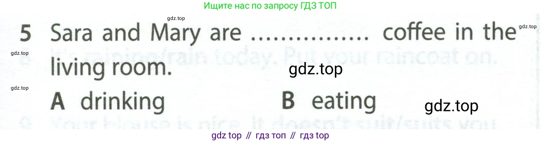 Английский язык (english), 5 класс контрольные задания (test booklet), авторы: Ваулина Юлия Евгеньевна (Vaulina Julia), Дули Дженни (Dooley Jenny), Подоляко Ольга Евгеньевна (Podolyako Olga), Эванс Вирджиния (Evans Virginia), издательство Просвещение, Москва, 2023, белого цвета, страница 109, номер 5, Условие 2023-2027