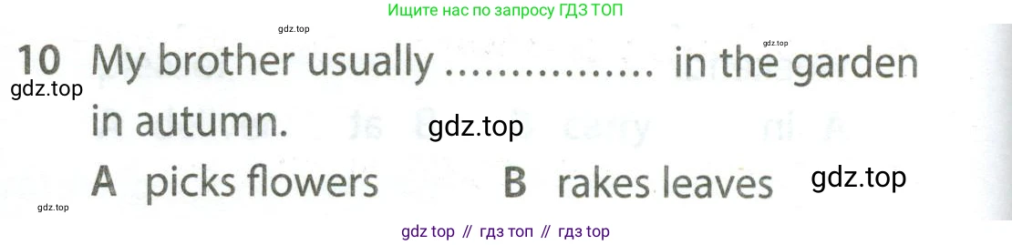 Английский язык (english), 5 класс контрольные задания (test booklet), авторы: Ваулина Юлия Евгеньевна (Vaulina Julia), Дули Дженни (Dooley Jenny), Подоляко Ольга Евгеньевна (Podolyako Olga), Эванс Вирджиния (Evans Virginia), издательство Просвещение, Москва, 2023, белого цвета, страница 110, номер 10, Условие 2023-2027