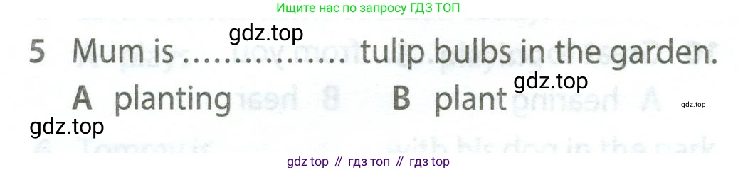 Английский язык (english), 5 класс контрольные задания (test booklet), авторы: Ваулина Юлия Евгеньевна (Vaulina Julia), Дули Дженни (Dooley Jenny), Подоляко Ольга Евгеньевна (Podolyako Olga), Эванс Вирджиния (Evans Virginia), издательство Просвещение, Москва, 2023, белого цвета, страница 110, номер 5, Условие 2023-2027