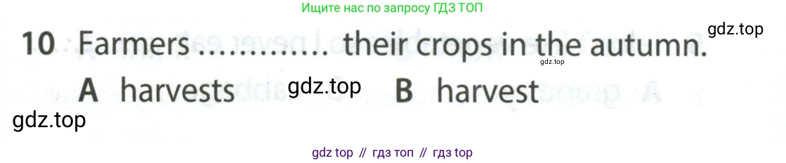 Английский язык (english), 5 класс контрольные задания (test booklet), авторы: Ваулина Юлия Евгеньевна (Vaulina Julia), Дули Дженни (Dooley Jenny), Подоляко Ольга Евгеньевна (Podolyako Olga), Эванс Вирджиния (Evans Virginia), издательство Просвещение, Москва, 2023, белого цвета, страница 113, номер 10, Условие 2023-2027