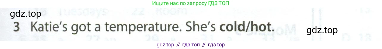 Английский язык (english), 5 класс контрольные задания (test booklet), авторы: Ваулина Юлия Евгеньевна (Vaulina Julia), Дули Дженни (Dooley Jenny), Подоляко Ольга Евгеньевна (Podolyako Olga), Эванс Вирджиния (Evans Virginia), издательство Просвещение, Москва, 2023, белого цвета, страница 121, номер 3, Условие 2023-2027