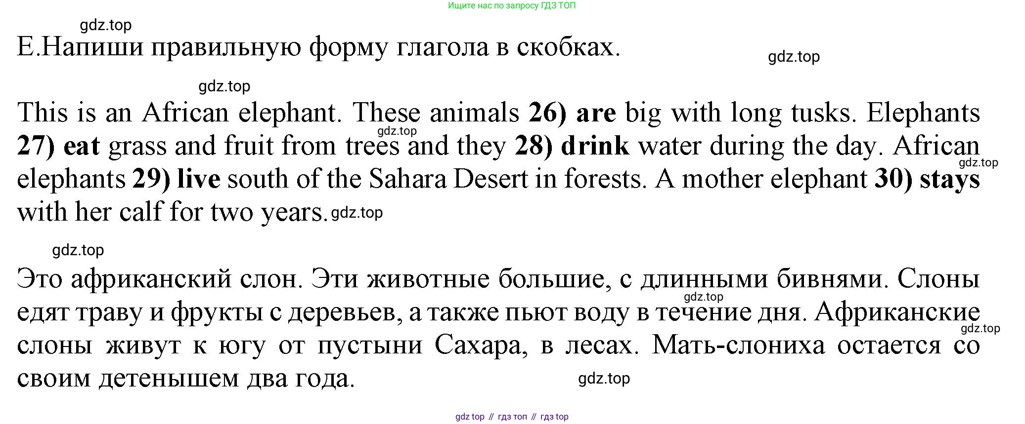 Английский язык (english), 5 класс контрольные задания (test booklet), авторы: Ваулина Юлия Евгеньевна (Vaulina Julia), Дули Дженни (Dooley Jenny), Подоляко Ольга Евгеньевна (Podolyako Olga), Эванс Вирджиния (Evans Virginia), издательство Просвещение, Москва, 2023, белого цвета, страница 38, номер E, Решение 1 (2023-2027)