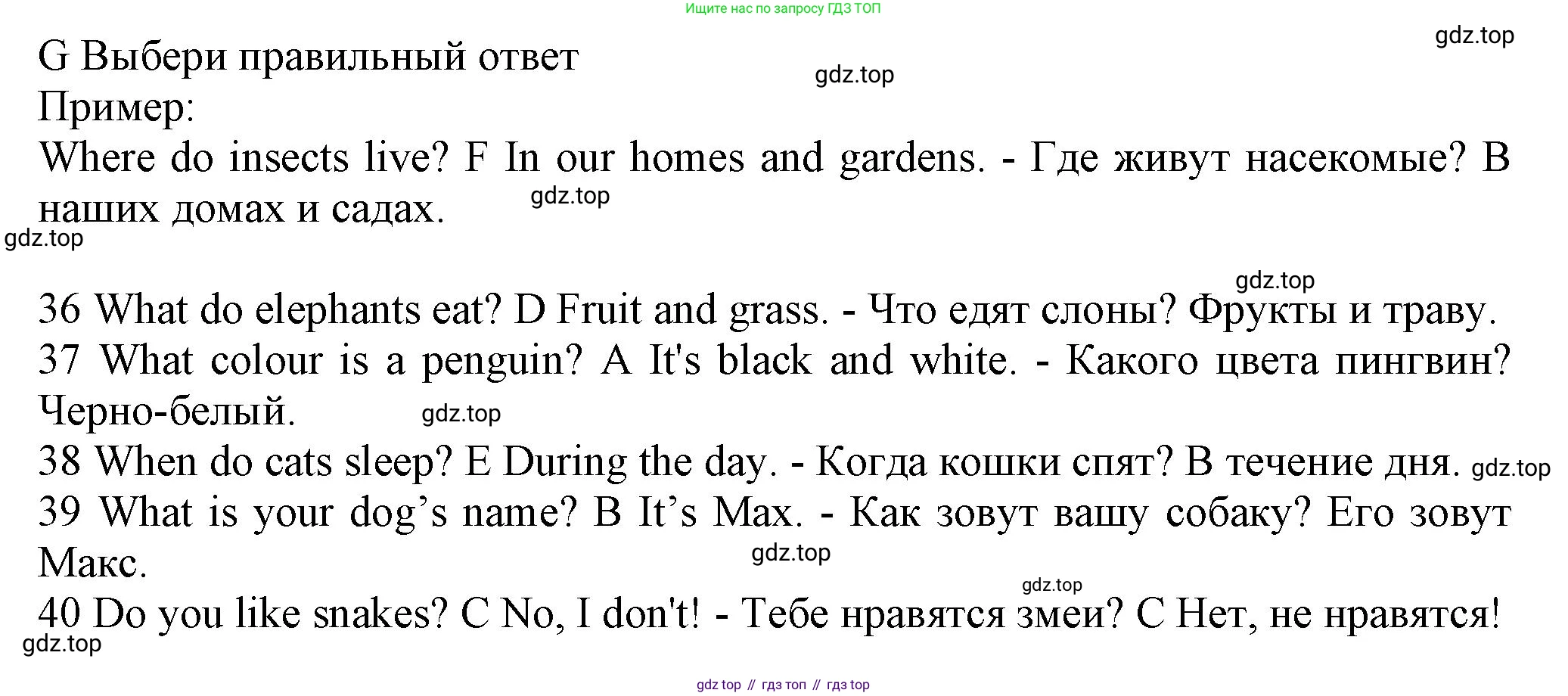Английский язык (english), 5 класс контрольные задания (test booklet), авторы: Ваулина Юлия Евгеньевна (Vaulina Julia), Дули Дженни (Dooley Jenny), Подоляко Ольга Евгеньевна (Podolyako Olga), Эванс Вирджиния (Evans Virginia), издательство Просвещение, Москва, 2023, белого цвета, страница 38, номер G, Решение 1 (2023-2027)