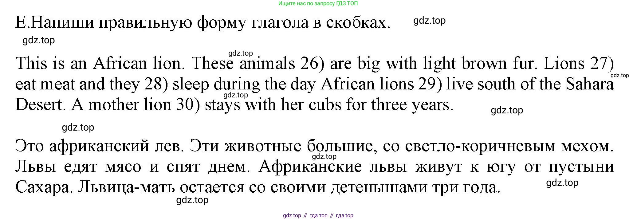 Английский язык (english), 5 класс контрольные задания (test booklet), авторы: Ваулина Юлия Евгеньевна (Vaulina Julia), Дули Дженни (Dooley Jenny), Подоляко Ольга Евгеньевна (Podolyako Olga), Эванс Вирджиния (Evans Virginia), издательство Просвещение, Москва, 2023, белого цвета, страница 42, номер E, Решение 1 (2023-2027)