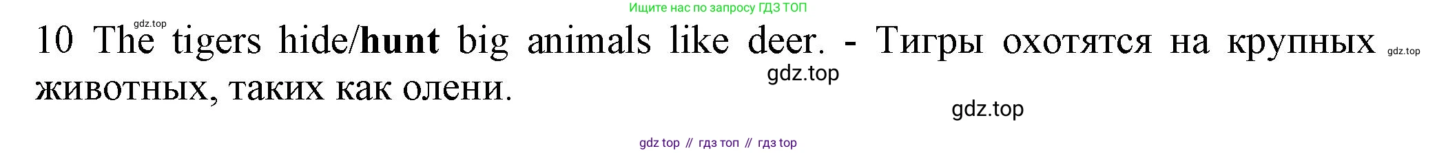 Английский язык (english), 5 класс контрольные задания (test booklet), авторы: Ваулина Юлия Евгеньевна (Vaulina Julia), Дули Дженни (Dooley Jenny), Подоляко Ольга Евгеньевна (Podolyako Olga), Эванс Вирджиния (Evans Virginia), издательство Просвещение, Москва, 2023, белого цвета, страница 104, номер 10, Решение 1 (2023-2027)