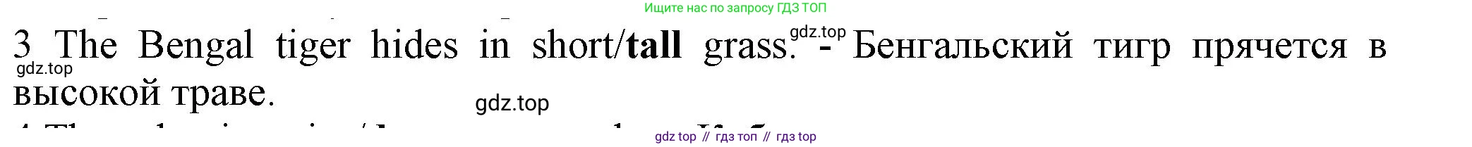 Английский язык (english), 5 класс контрольные задания (test booklet), авторы: Ваулина Юлия Евгеньевна (Vaulina Julia), Дули Дженни (Dooley Jenny), Подоляко Ольга Евгеньевна (Podolyako Olga), Эванс Вирджиния (Evans Virginia), издательство Просвещение, Москва, 2023, белого цвета, страница 104, номер 3, Решение 1 (2023-2027)