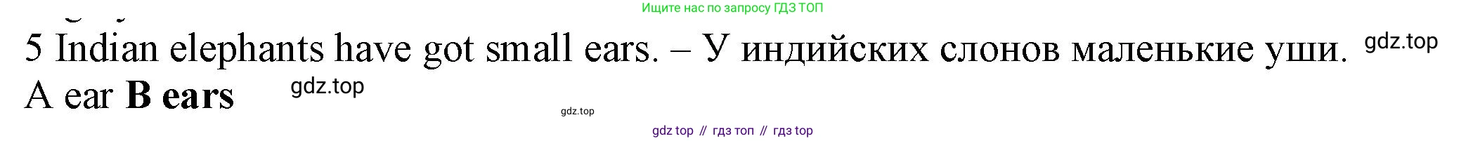 Английский язык (english), 5 класс контрольные задания (test booklet), авторы: Ваулина Юлия Евгеньевна (Vaulina Julia), Дули Дженни (Dooley Jenny), Подоляко Ольга Евгеньевна (Podolyako Olga), Эванс Вирджиния (Evans Virginia), издательство Просвещение, Москва, 2023, белого цвета, страница 105, номер 5, Решение 1 (2023-2027)