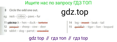 Английский язык (english), 5 класс контрольные задания (test booklet), авторы: Ваулина Юлия Евгеньевна (Vaulina Julia), Дули Дженни (Dooley Jenny), Подоляко Ольга Евгеньевна (Podolyako Olga), Эванс Вирджиния (Evans Virginia), издательство Просвещение, Москва, 2023, белого цвета, страница 37, номер B, Решение 2 (2023-2027)