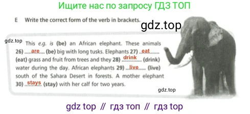 Английский язык (english), 5 класс контрольные задания (test booklet), авторы: Ваулина Юлия Евгеньевна (Vaulina Julia), Дули Дженни (Dooley Jenny), Подоляко Ольга Евгеньевна (Podolyako Olga), Эванс Вирджиния (Evans Virginia), издательство Просвещение, Москва, 2023, белого цвета, страница 38, номер E, Решение 2 (2023-2027)