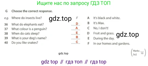 Английский язык (english), 5 класс контрольные задания (test booklet), авторы: Ваулина Юлия Евгеньевна (Vaulina Julia), Дули Дженни (Dooley Jenny), Подоляко Ольга Евгеньевна (Podolyako Olga), Эванс Вирджиния (Evans Virginia), издательство Просвещение, Москва, 2023, белого цвета, страница 38, номер G, Решение 2 (2023-2027)