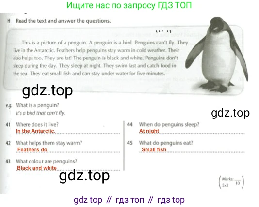 Английский язык (english), 5 класс контрольные задания (test booklet), авторы: Ваулина Юлия Евгеньевна (Vaulina Julia), Дули Дженни (Dooley Jenny), Подоляко Ольга Евгеньевна (Podolyako Olga), Эванс Вирджиния (Evans Virginia), издательство Просвещение, Москва, 2023, белого цвета, страница 39, номер H, Решение 2 (2023-2027)