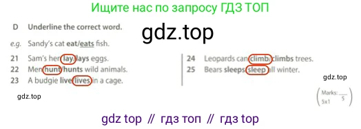 Английский язык (english), 5 класс контрольные задания (test booklet), авторы: Ваулина Юлия Евгеньевна (Vaulina Julia), Дули Дженни (Dooley Jenny), Подоляко Ольга Евгеньевна (Podolyako Olga), Эванс Вирджиния (Evans Virginia), издательство Просвещение, Москва, 2023, белого цвета, страница 42, номер D, Решение 2 (2023-2027)