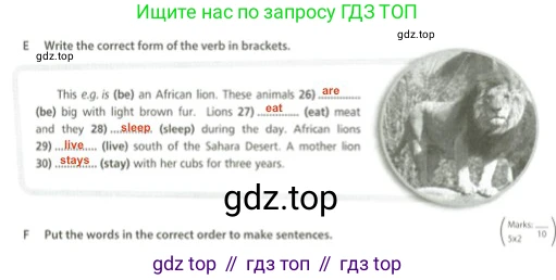 Английский язык (english), 5 класс контрольные задания (test booklet), авторы: Ваулина Юлия Евгеньевна (Vaulina Julia), Дули Дженни (Dooley Jenny), Подоляко Ольга Евгеньевна (Podolyako Olga), Эванс Вирджиния (Evans Virginia), издательство Просвещение, Москва, 2023, белого цвета, страница 42, номер E, Решение 2 (2023-2027)