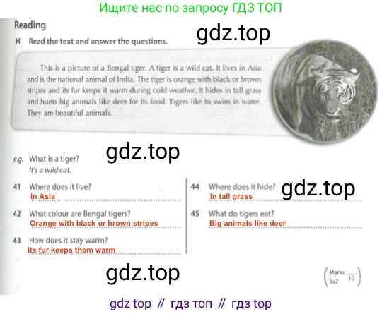 Английский язык (english), 5 класс контрольные задания (test booklet), авторы: Ваулина Юлия Евгеньевна (Vaulina Julia), Дули Дженни (Dooley Jenny), Подоляко Ольга Евгеньевна (Podolyako Olga), Эванс Вирджиния (Evans Virginia), издательство Просвещение, Москва, 2023, белого цвета, страница 43, номер H, Решение 2 (2023-2027)