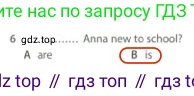Английский язык (english), 5 класс контрольные задания (test booklet), авторы: Ваулина Юлия Евгеньевна (Vaulina Julia), Дули Дженни (Dooley Jenny), Подоляко Ольга Евгеньевна (Podolyako Olga), Эванс Вирджиния (Evans Virginia), издательство Просвещение, Москва, 2023, белого цвета, страница 93, номер 6, Решение 2 (2023-2027)