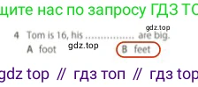 Английский язык (english), 5 класс контрольные задания (test booklet), авторы: Ваулина Юлия Евгеньевна (Vaulina Julia), Дули Дженни (Dooley Jenny), Подоляко Ольга Евгеньевна (Podolyako Olga), Эванс Вирджиния (Evans Virginia), издательство Просвещение, Москва, 2023, белого цвета, страница 96, номер 4, Решение 2 (2023-2027)